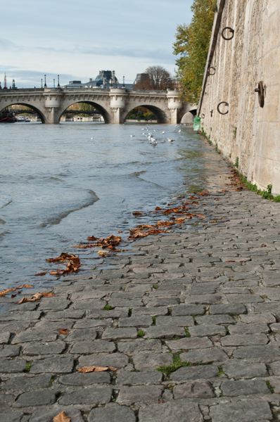 5 millions de citoyens de la métropole parisienne pourraient être touchés en cas de crue majeure