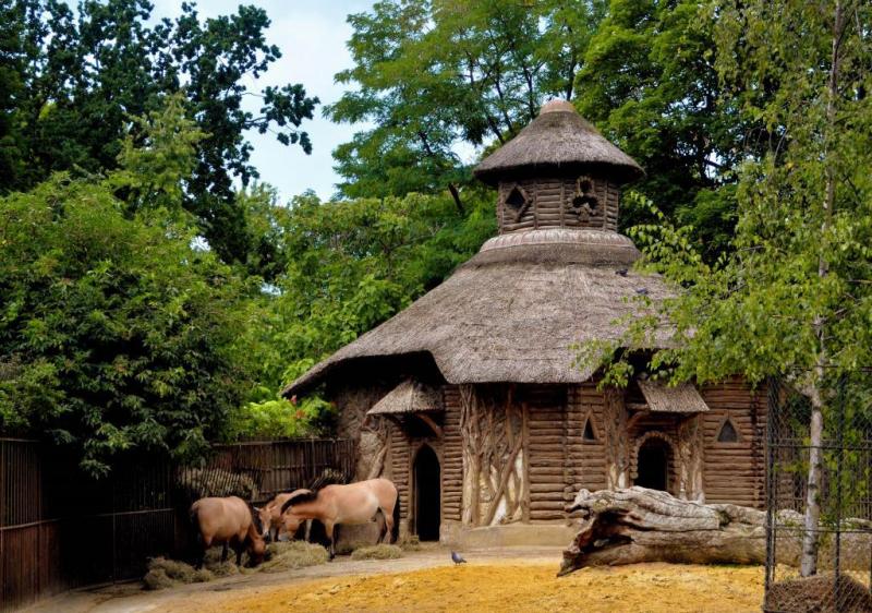 Rénovation de la ménagerie du Jardin des Plantes