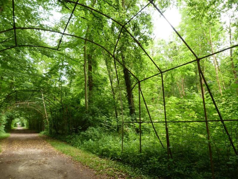 Rénovation du Berceau de l’Impératrice dans le Grand Parc de Compiègne