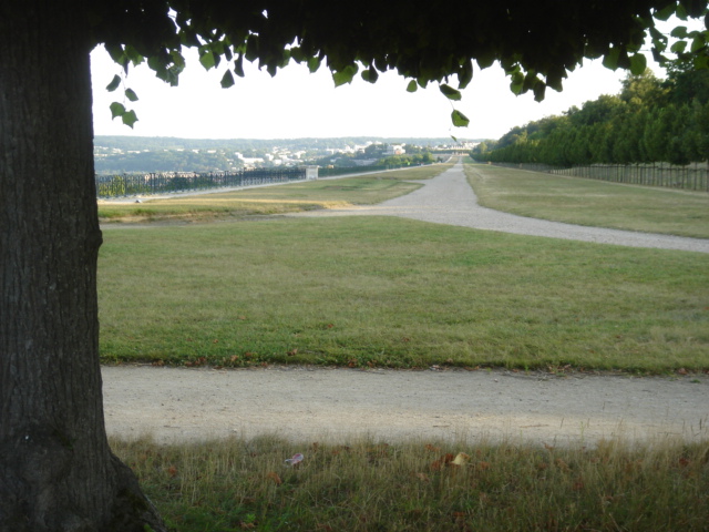 Le domaine national de Saint-Germain-en-Laye : un laboratoire de gestion écologique des espaces verts