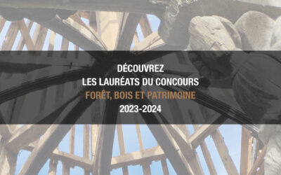 Découvrez les lauréats du concours Forêt, Bois et Patrimoine 2023-2024